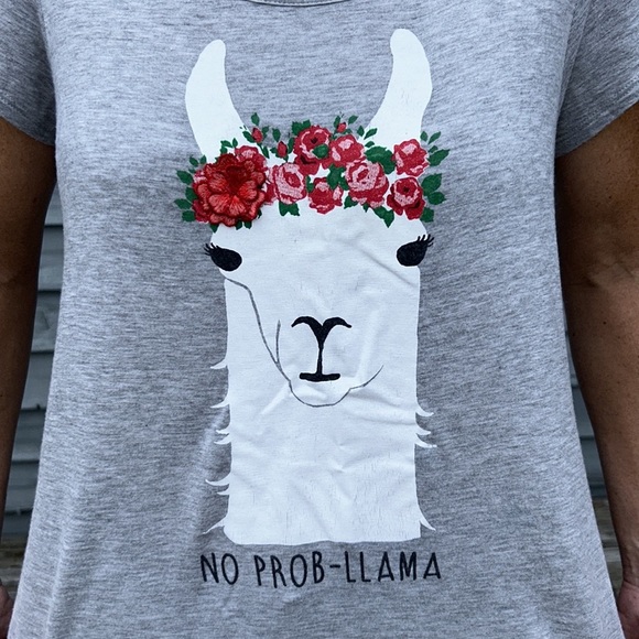 Alya Francesca’s |‎ “NO PROB-LLAMA” T-shirt Tunic 3D Floral Appliqué Gra… - Picture 6 of 9